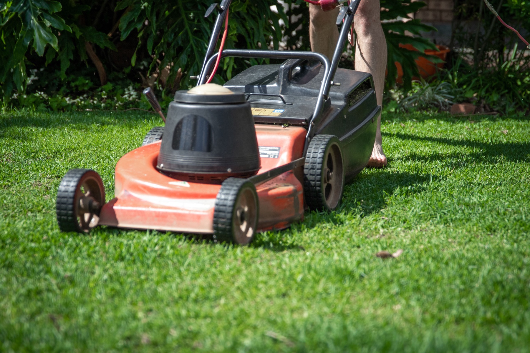 Landscaper tending a planted garden bed